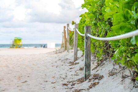 Walkway to the beach in Miami Florida with ocean backgroundの写真素材