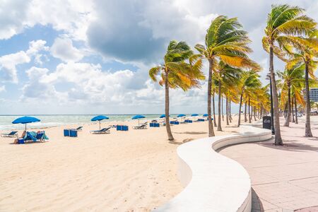 Fort Lauderdale Beach promenade with palm treesの写真素材
