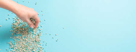 Woman Decorating backround with gypsophila flowers with copy space on light green background, flat...