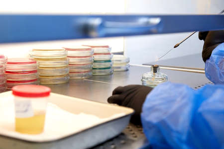 medical technologist doing urine test in medical laboratory wearing protective uniform