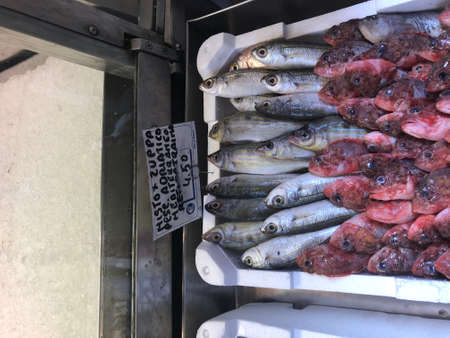 Fresh fish in box. Fish ready for sale in market