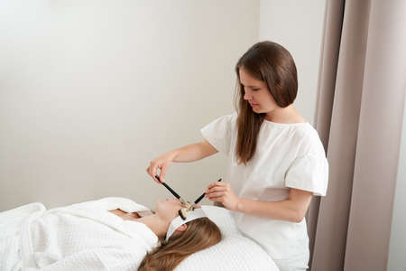 Woman Gets Brushes Treatment At Beauty Clinic. Face Skin Care concept. Relaxing in spa salon