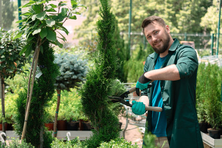 Worker taking care of decorative trees for sale in garden centerの写真素材
