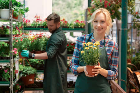 Gardeners working with flowers in garden centerの写真素材