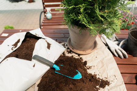 Planting a bush in flower pot using dirt in garden centerの写真素材