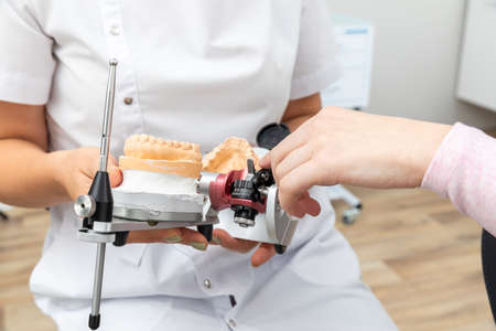 Dentist holding dental articulator with dental gypsum prosthesis model in dental laboratory and show...
