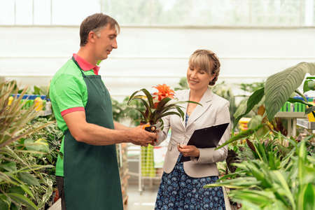 Gardener and his manager work in modern nursery plant store with a clipboard in greenhouseの写真素材