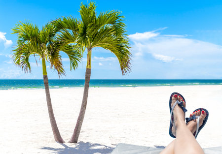 Twin Palm Trees in Florida beach with female feet sunbathing on foreground, USA with copy spaceの写真素材