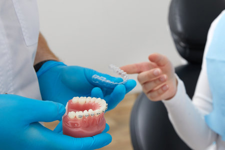 Orthodontist showing model of human jaw with wire braces and aligners explaining the differenceの写真素材