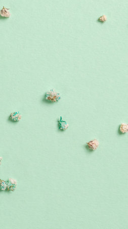 Decoration with gypsophila flowers with copy space on light green background, flat lay