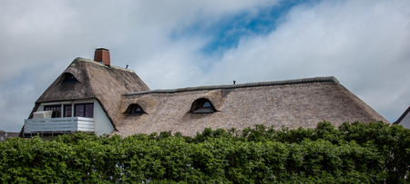 Reed roof of the house.の写真素材