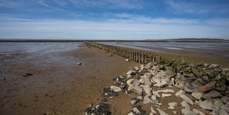 North Sea, low tide, Germany.の写真素材