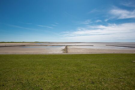 shore of the north sea. low tide