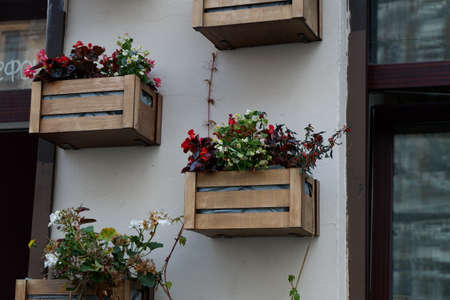 Beautiful planters with flowers hang on the wall on the streetの写真素材