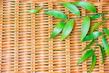 Green leafs on wicker wood の写真素材