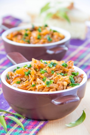 Stewed cabbage with meat and spring onion in cupsの写真素材