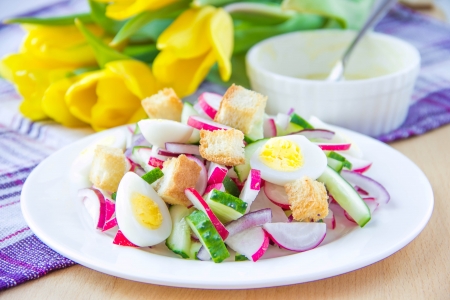 Spring salad with radishes, cucumbers, eggs and crouton in white plateの写真素材
