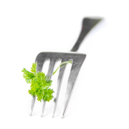 Fork and flower parsley on a white background as an interesting idea, concept of creative cuisineの写真素材