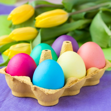 Colorful easter eggs in packing box with tulips flowers