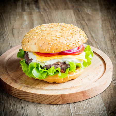 Homemade cheeseburger with beef, cheese and tomato, picnic, delicious junk food, fast foodの写真素材