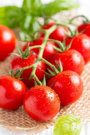 Cherry tomatoes on a branch with drops of water, macro, close up, delicious fresh harvest. Organic natural foodの写真素材