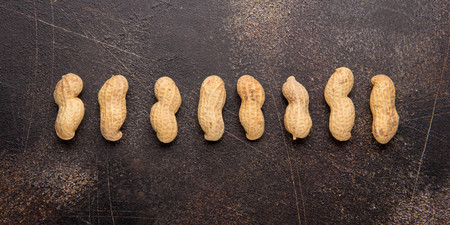 Line of peanuts in shell in row on darkの写真素材