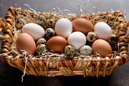 Different eggs in the basket, white, dark, quail and chicken. Easter holidayの写真素材