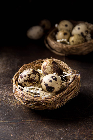 Quail eggs in nest on dark background. Easter holidayの写真素材