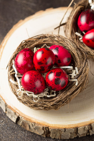 Painted chicken and quail eggs for easter, red, pink, burgundy in the nest. Willow, springの写真素材