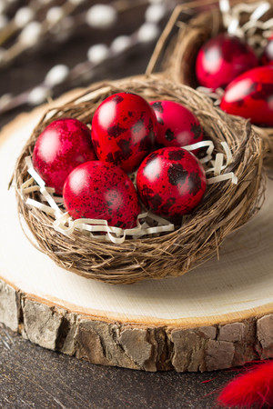 Painted chicken and quail eggs for easter, red, pink, burgundy in the nest. Willow, springの写真素材