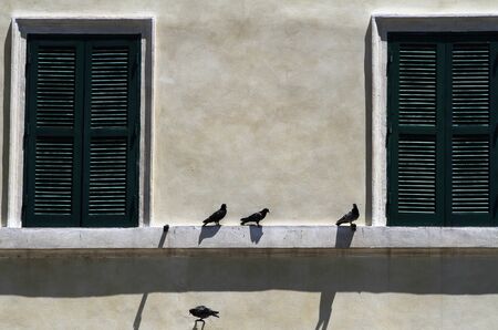 Residential facade. Closed green shutters, pigeons on the windowsillの写真素材