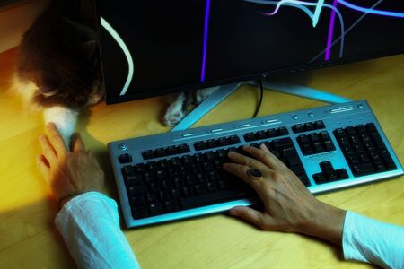 Desk, computer screen, hands at work on keyboard and sleeping kitten.の写真素材