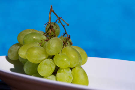 Grapes in white ceramic plate, swimming pool background.の写真素材