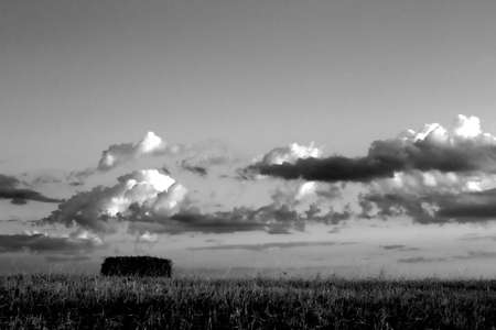Summer rural landscape, hay bale in the foreground, black white photo.