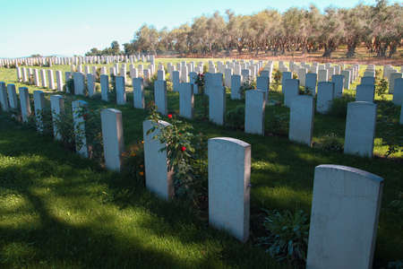 English military cemetery near Bolsena. 600 graves of young soldiers who died in Italy during the...