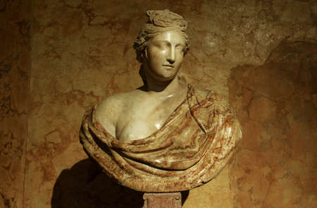 Bust of a woman in mottled marble, National Roman Museum, Palazzo Altemps.