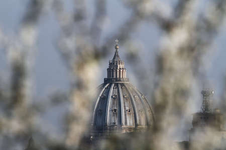 Jasmine branches in the foreground and in the background the dome of St. Peter's Basilica in Romeのeditorial素材