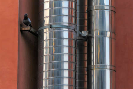 Detail of building with aluminum pipes and sheltered pigeon in the corner.の写真素材