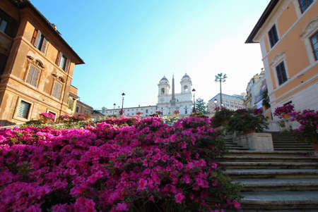 Traditional display of azalea pots in Piazza di Spagna Rome.のeditorial素材