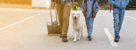 Family traveling with golden retriever dog. Father, children, pet and luggage getting out from hotel. Auto journey with kids and dog in car.の写真素材