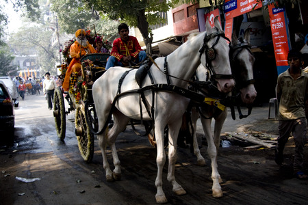 Guru Nanak Jayanti celebration in Delhi, Indiaのeditorial素材