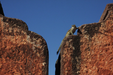 Mehrangarh Fort in Jodhpur, Indiaの写真素材