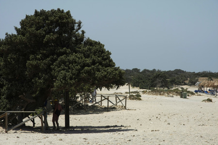 Beach in Chrissi Island, Greeceの写真素材