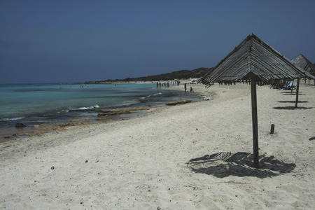 Beach in Chrissi Island, Greeceの写真素材