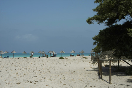 Chrissi Island, Greeceの写真素材
