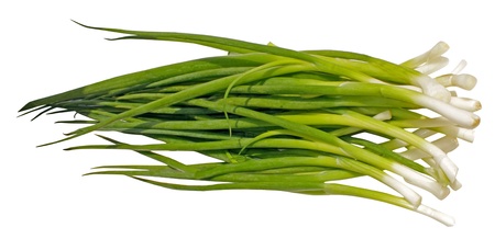Spring onions - isolated  on a white backgroundの写真素材
