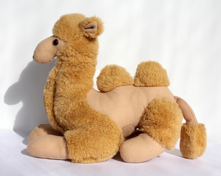 Toy a camel of brown colour the sedentaryの写真素材