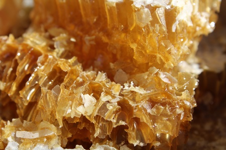 Honey more piece of close-upの写真素材