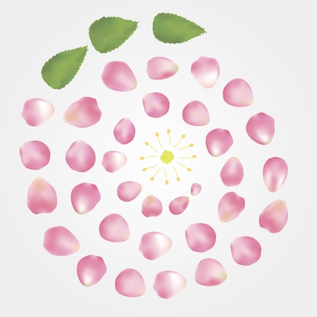 illustration of flower elements consisting of rose petals, can be used for cards, banners, advertisementのイラスト素材