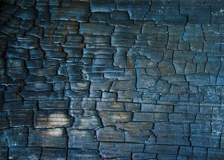 Texture of black wooden surface, wood burnt into charcoalの写真素材